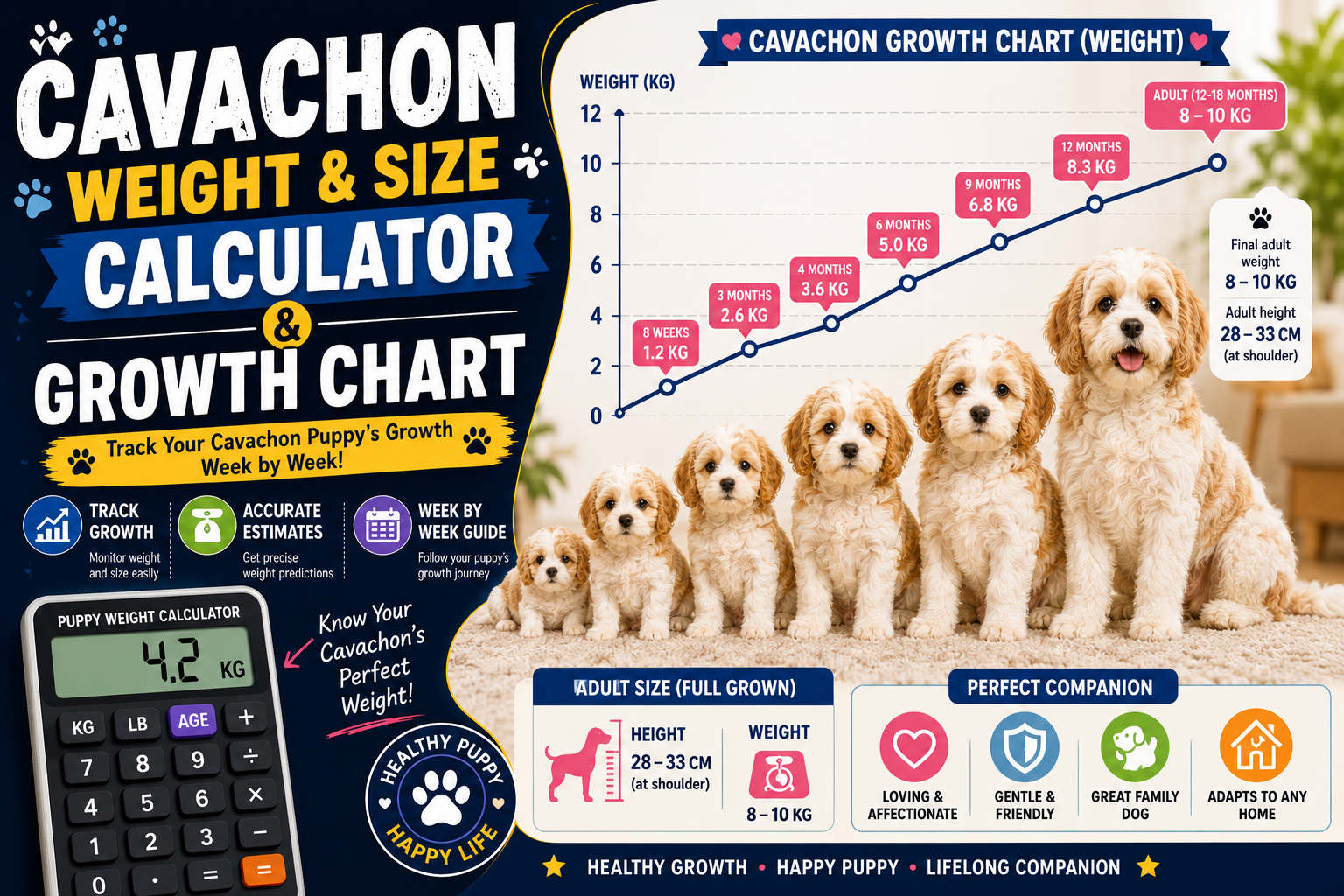Cavachon Weight And Size Calculator & Growth Chart