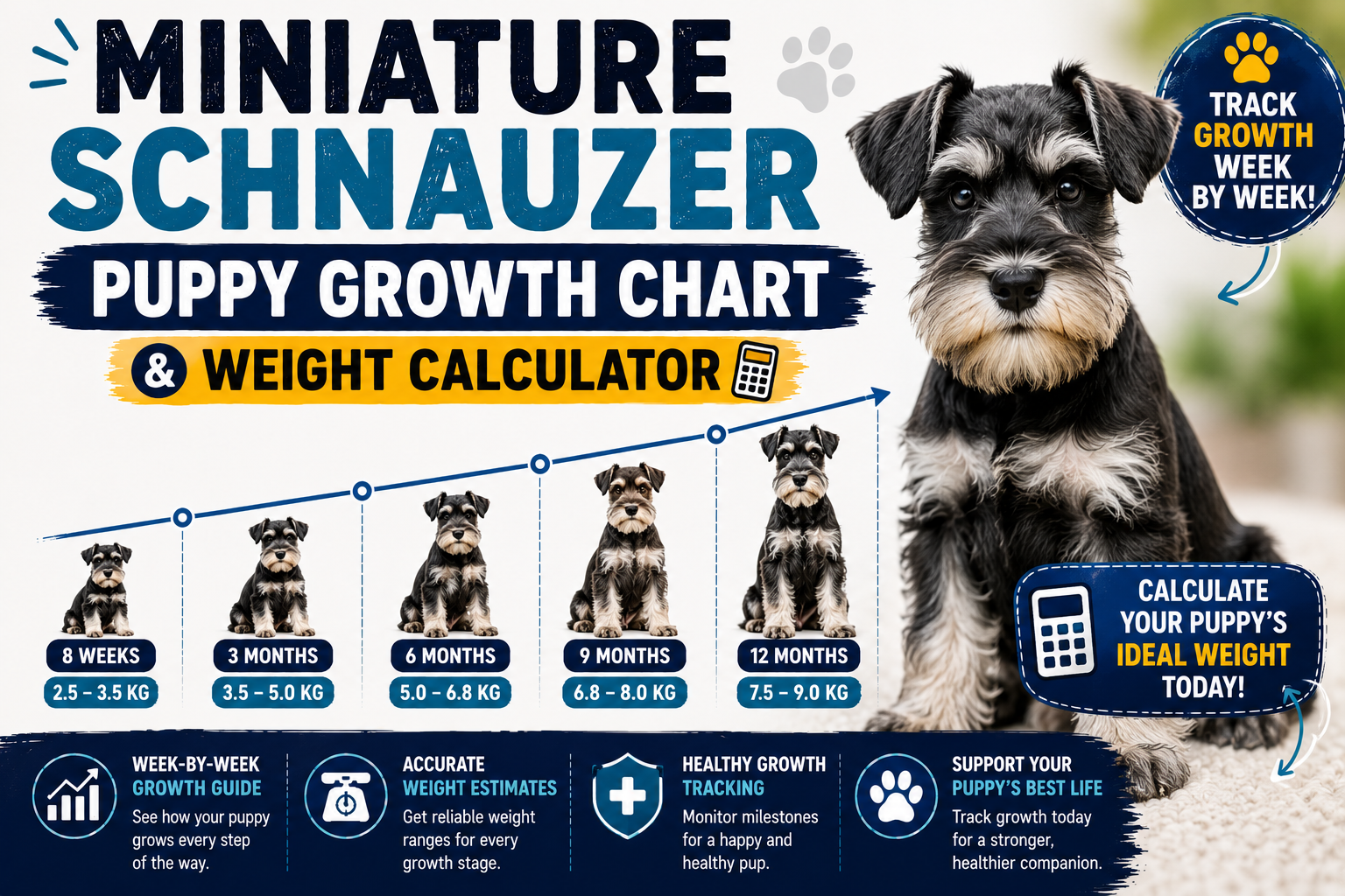 Miniature Schnauzer Puppy Growth Chart & Weight Calculator
