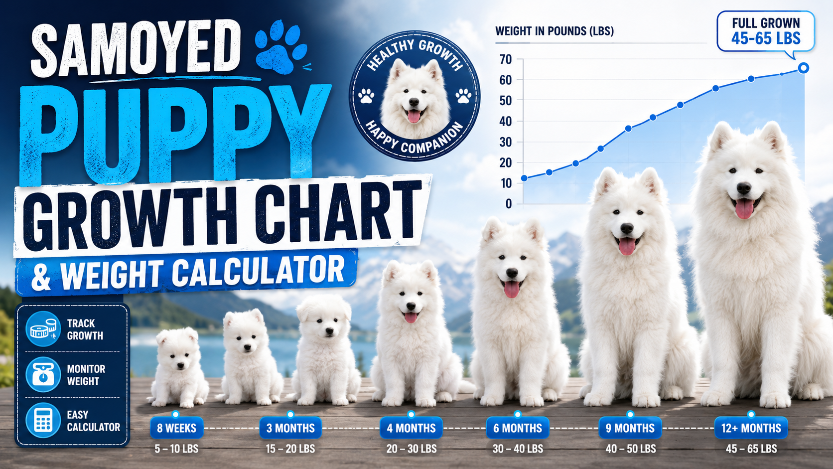 Samoyed Puppy Growth Chart & Weight Calculator