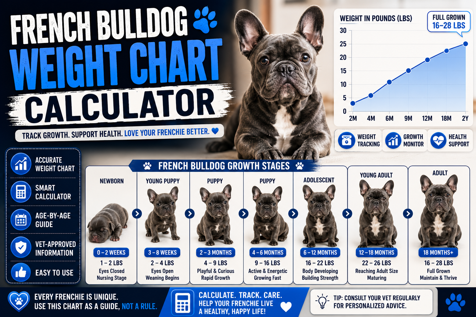 French Bulldog Weight Chart Calculator