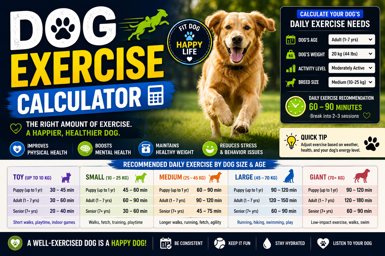 Dog Exercise Calculator