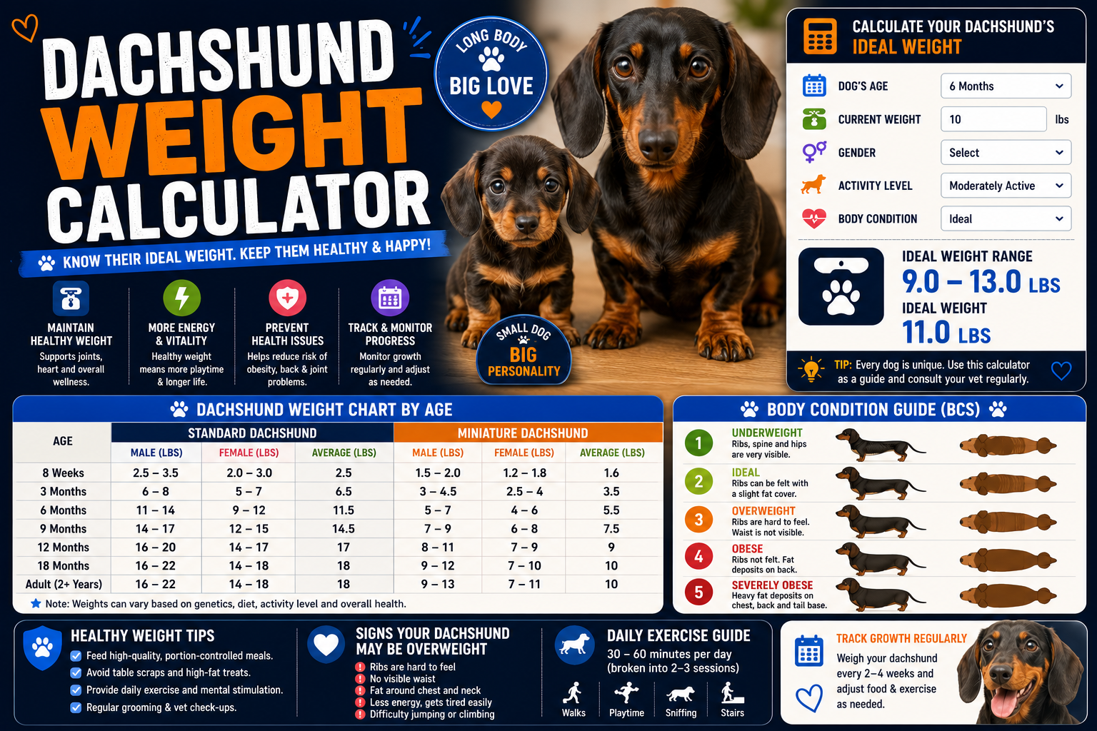 Dachshund Weight Calculator