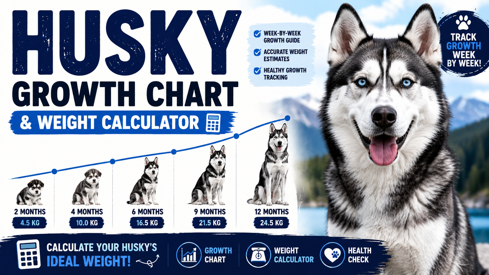 Husky Growth Chart & Weight Calculator