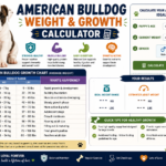 American Bulldog Weight & Growth Calculator