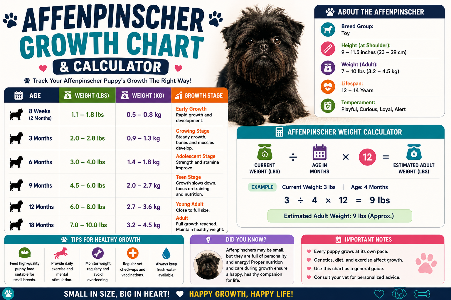 Affenpinscher Growth Chart And Calculator