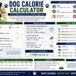 Dog Calorie Calculator