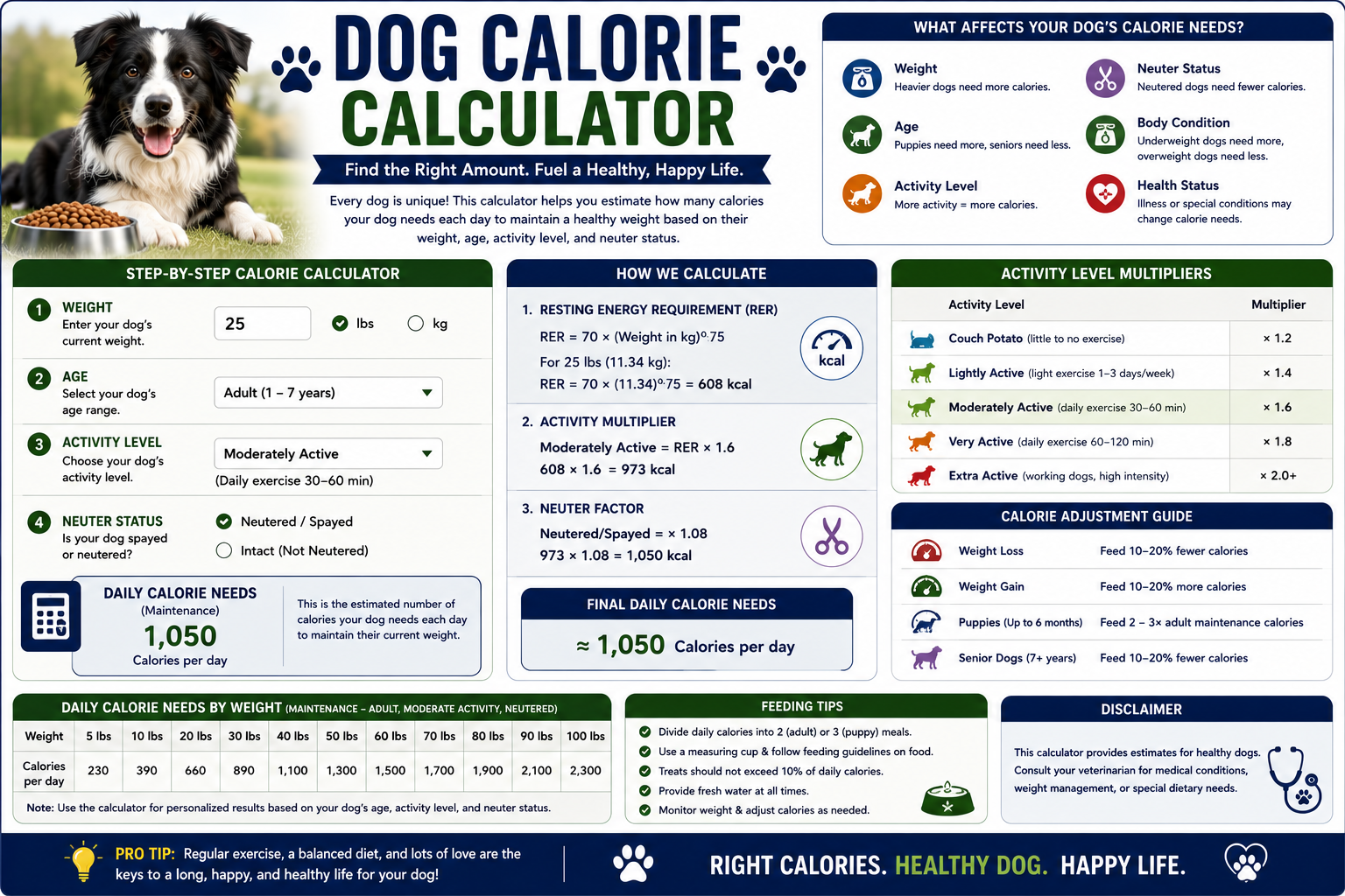 Dog Calorie Calculator